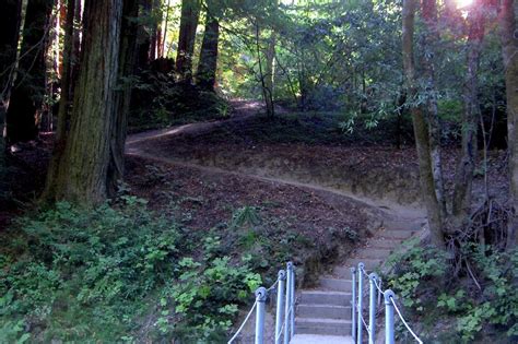 Hiking in Henry Cowell Redwoods State Park — Mountain Parks Foundation