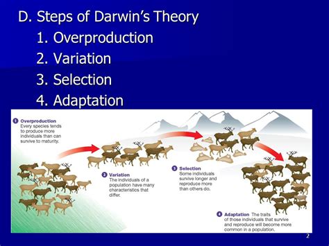 Evolution - MRS. MERRITT'S BIOLOGY CLASS