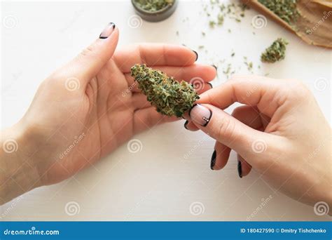 Marijuana Use Concept. Woman Rolling a Cannabis Blunt on White Background. Close Up of Marijuana ...