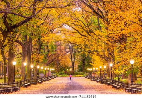 15,566 Central Park Fall Foliage Images, Stock Photos & Vectors | Shutterstock