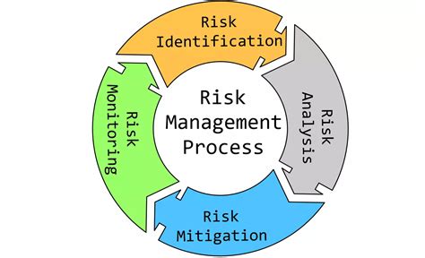 Risk Management Process - TestingDocs.com