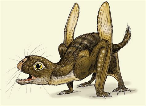 Anurognathus by Eurwentala on deviantART | Prehistoric animals ...