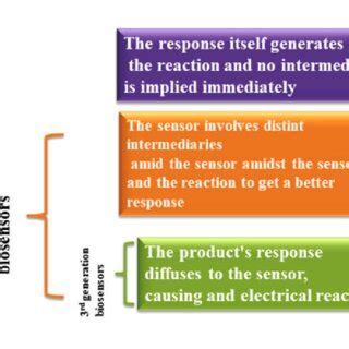 Forms of biosensors based on their generation. | Download Scientific Diagram