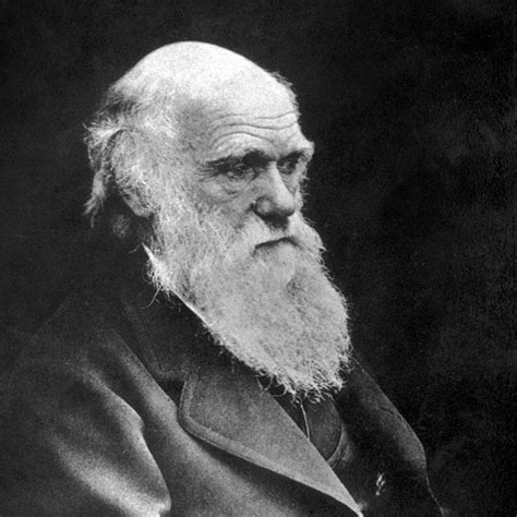 Letter Confirming Darwin's Agnosticism Hits Auction Block