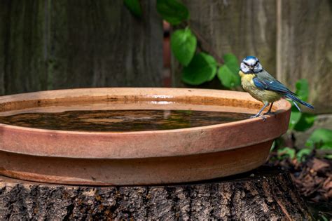 5 Easy DIY Bird Baths - INSTALL-IT-DIRECT