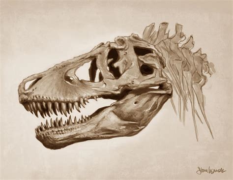 T-Rex Skull by SBWomack on DeviantArt