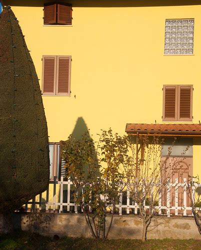 Tree shadow on yellow house | Neil McIntosh | Flickr