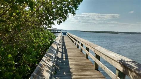 Boardwalk at Manatee Park in New Smyrna Beach, FL. Love kayaking to the ...