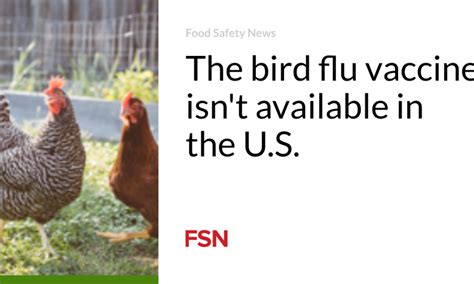 The bird flu vaccine isn’t available in the U.S. - Level Up Magazine