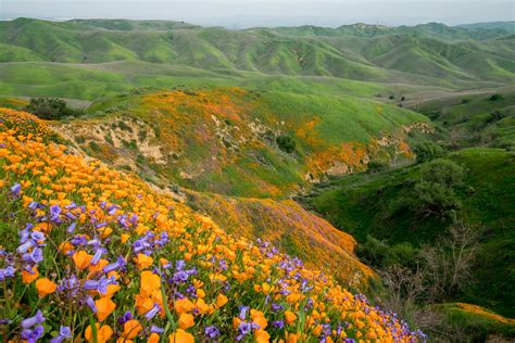 Chino Hills State Park, California 2019 | Chino hills state park ...