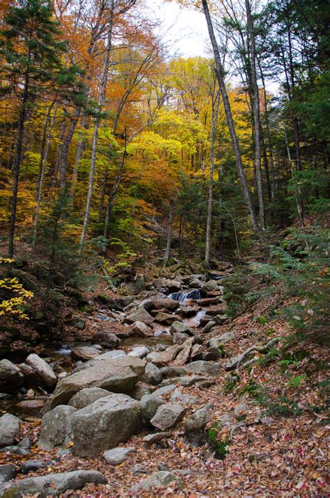 White Mountains Fall Foliage 250 by FairieGoodMother on DeviantArt