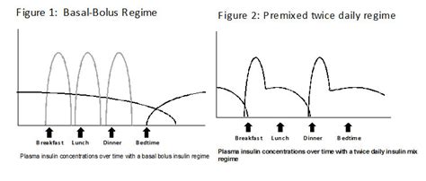 Basal Bolus Insulin Regimen Type 2 Diabetes - DiabetesWalls