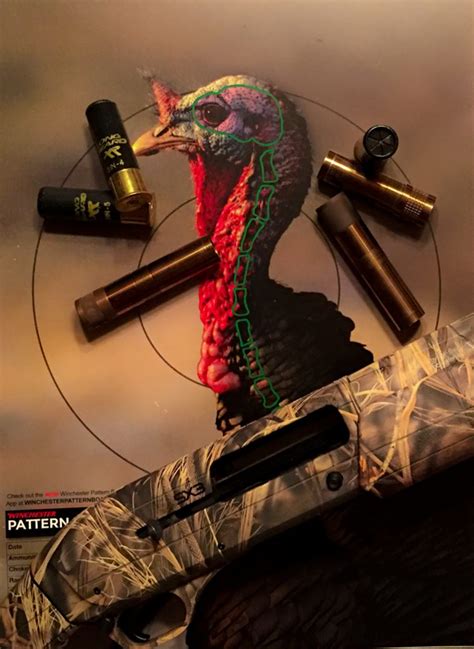 Is There a Best Shot Size for Turkey? | Winchester Ammunition