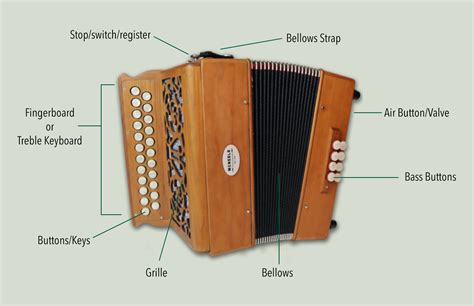 The Mechanics Of The Irish Button Accordion - Everything You Need To ...