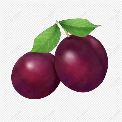 Two Purple Plums Cartoon Illustration PNG Transparent Image And Clipart ...