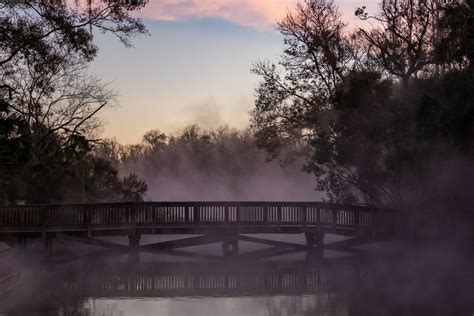 Wekiwa Springs State Park: Camp, Hike & Swim at this Florida Oasis