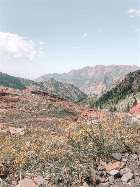 Best Hikes In Park City Utah — flowandwander