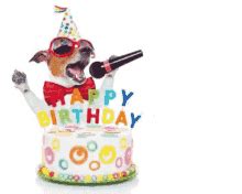 The Sesame Street Singing Happy Birthday GIF | GIFDB.com