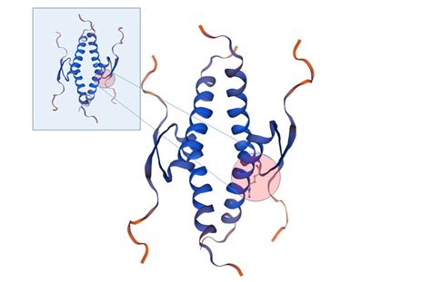 Rare Mutation of TP53 Gene Leaves People at Higher Risk for Multiple Cancers - Penn Medicine