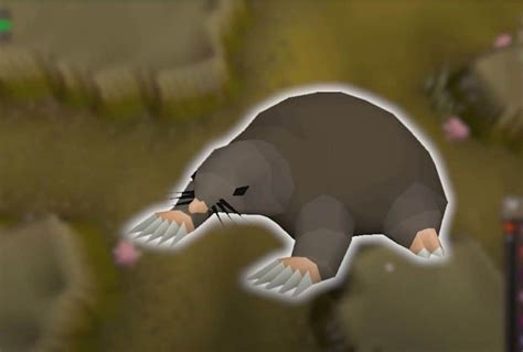 Giant mole guide osrs