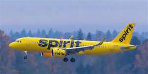 Check Spirit Airlines Flight Status Online & Offline