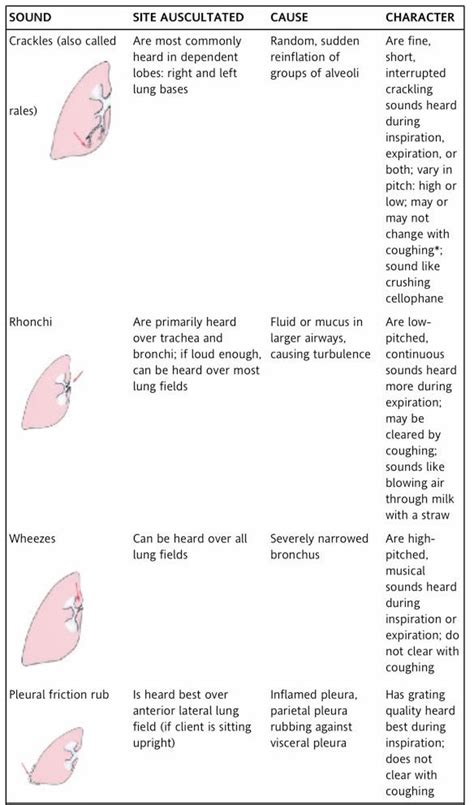 Adventitious Sounds in Respiratory Assessment - NCLEX Quiz