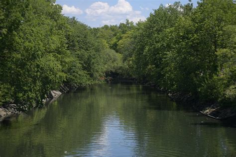 Parks and the Bronx River Alliance celebrate river revitalization at the annual Bronx River ...