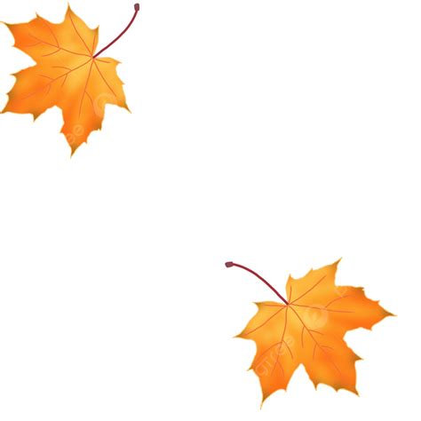 Dry Leaves Fall, Fall, Dry, Falling PNG Transparent Clipart Image and ...