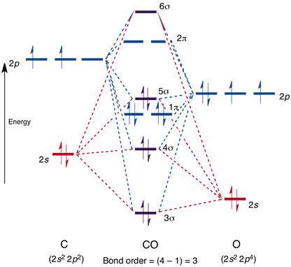 [Resuelta] biochemistry | ¿Por qué el monóxido de carbono