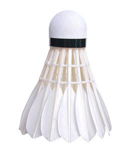 Badminton Shuttlecock Types Best Sale | cityofclovis.org