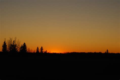 Treeline Sunset by midnightstouchSTOCK on DeviantArt