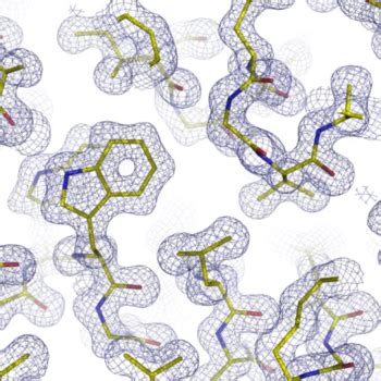 For your protein science needs - LubioScience GbmH