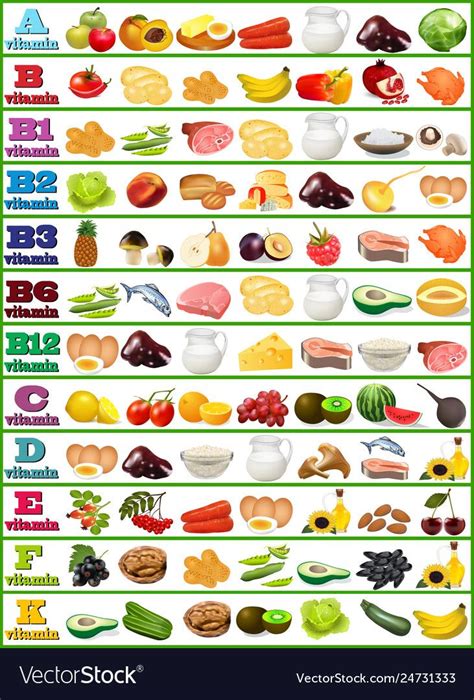 Table of vitamins - set of food icons organized Vector Image Proper ...