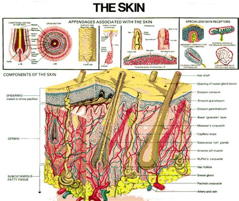 Skin care at re*be® Okoboji, Iowa(712)332-6001