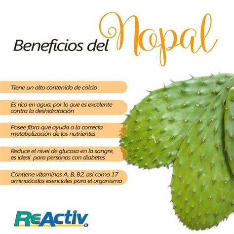 Infografia beneficios del nopal. | Beneficios del nopal, Beneficios de alimentos, Beneficios de ...