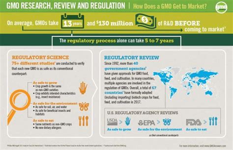 Aquadvantage Salmon: 9 Things You Need To Know about GMO Salmon