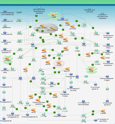 Prostaglandin 2 biosynthesis and metabolism Pathway Map - PrimePCR ...