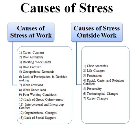 Causes of Stress - Stress Management in Organization | Organizational Behavior