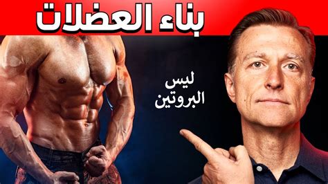 أهم العوامل في بناء العضلات - ما وراء البروتين - YouTube