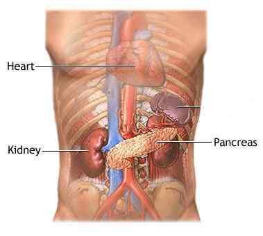 Pancreas: Pancreas Blood Test