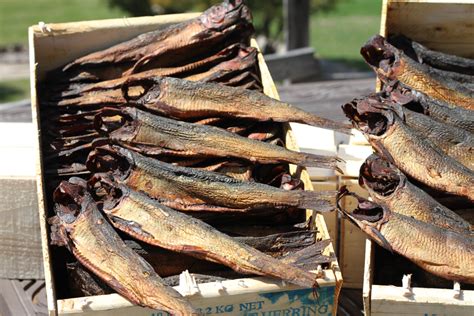 Canadian Salted Smoked Herring - Intercambio