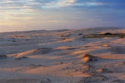 Sunset Over Sand Dunes Near the Ocean. Stock Image - Image of dunes ...