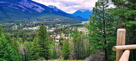 Guide To Hiking Tunnel Mountain Trail in Banff