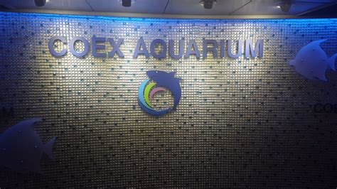 Annie Eats In Korea: Coex Aquarium 코엑스 아쿠아리움