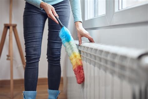 Is Your Duster Spreading Dirt and Dander? Here's How to Clean It.