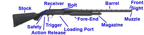 [DIAGRAM] Mossberg 500 Shotgun Parts Diagram - MYDIAGRAM.ONLINE