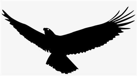 Vulture Vector Wing - Eagle Flying Silhouette Png - Free Transparent ...