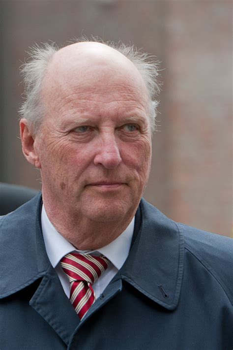 King Harald of Norway Turns 84 Prompting Abdication Questions