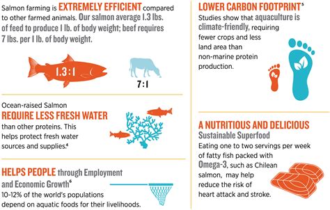 Feel Good about Farmed Salmon – Chilean Salmon Marketing Council