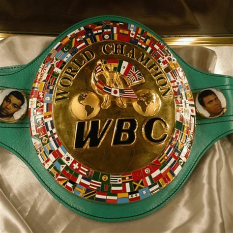 WBC Belts: How Do They Work? Full Explanation